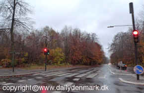 Copenhagen_road_in_November.jpg (122756 byte)