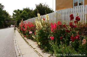 Street_Lyngby.jpg (145323 byte)