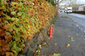street_lyngbt_n.jpg (156715 byte)
