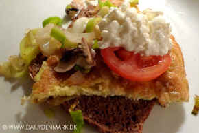omelet.jpg (91199 byte)