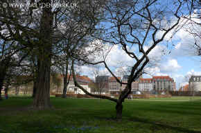 PARK_kopi.jpg (149238 byte)