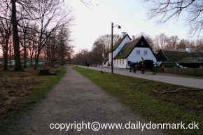 dyrehaven wood kopi.jpg (163395 byte)