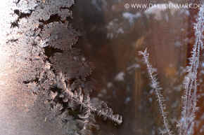 frost.jpg (122604 byte)