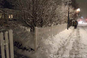 winter kopi.jpg (141664 byte)